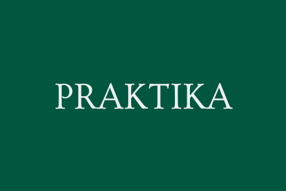 Praktika