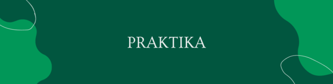Praktika