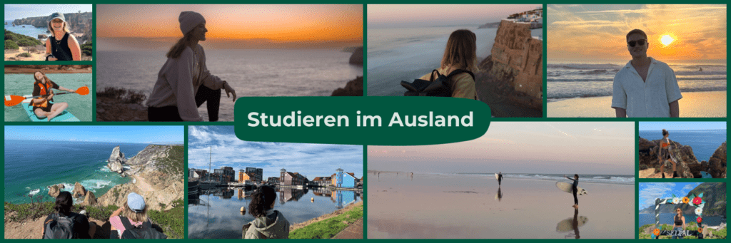 Studieren Ausland