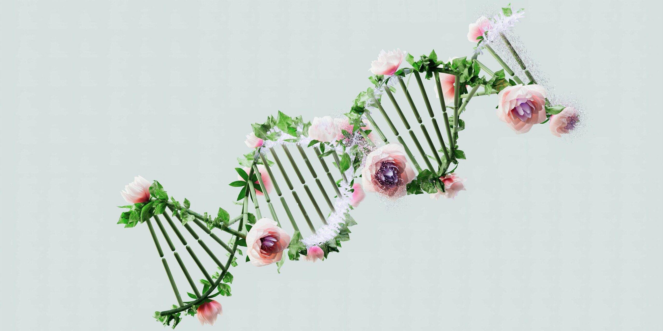 Algorithmus_pexels-googledeepmind-18069421 Lunchtalk SS 2025