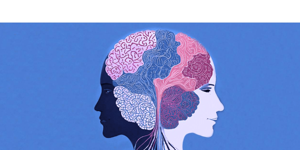 victimproject_2025 VIPROM projekt